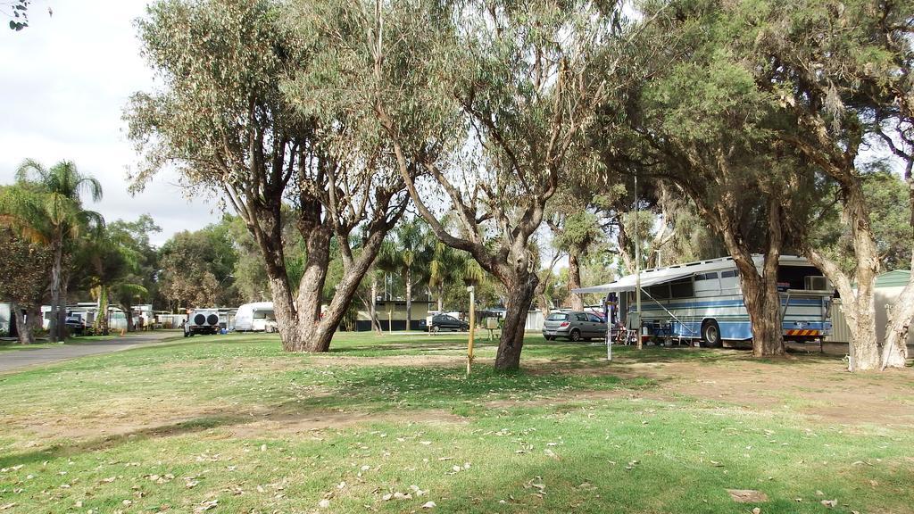 ホテル Australind Tourist Park エクステリア 写真
