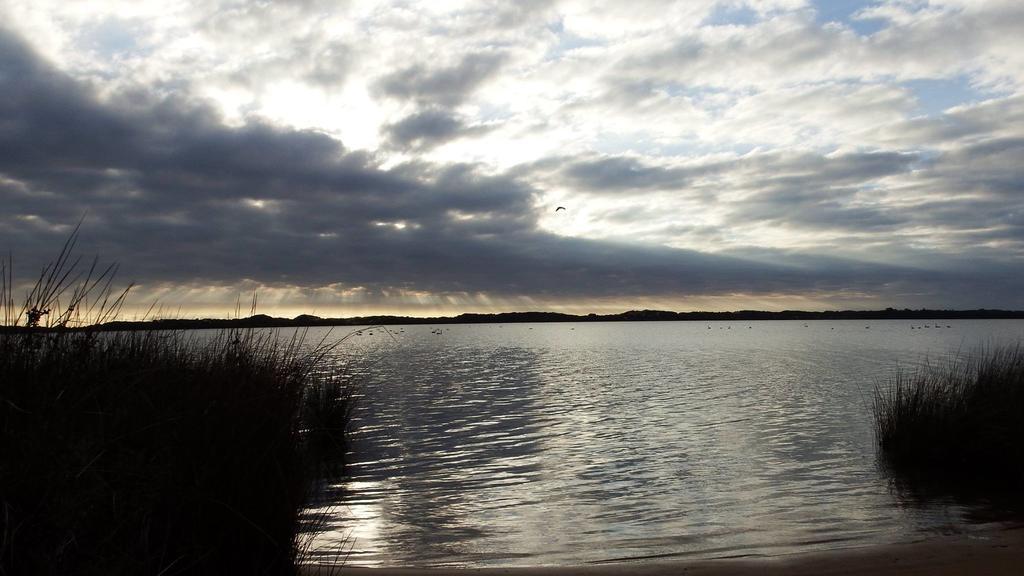 ホテル Australind Tourist Park エクステリア 写真